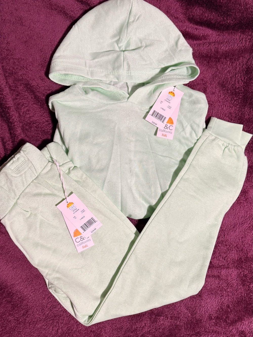 C&C California Kid COLLECTION Kids Mint Green Hoodie and Jogger Set